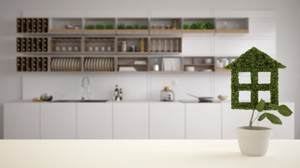 White table top or shelf with green plant in pot shaped like house, modern blurred kitchen in the background, interior design, real estate, eco architecture concept idea