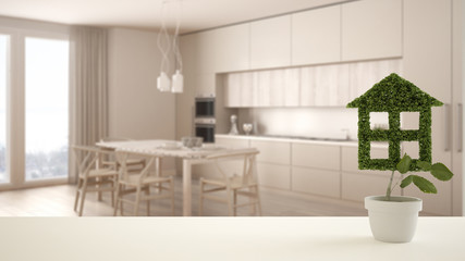 White table top or shelf with green plant in pot shaped like house, modern blurred kitchen in the background, interior design, real estate, eco architecture concept idea