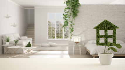 White table top or shelf with green plant in pot shaped like house, modern blurred bedroom in the background, interior design, real estate, eco architecture concept idea