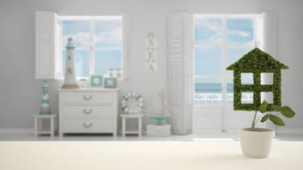 White table top or shelf with green plant in pot shaped like house, modern blurred living room background, interior design, real estate, eco architecture concept idea