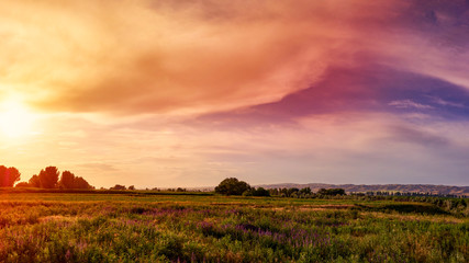 Fototapeta premium Panorama. Fabulous sunset wild field with wildflowers, in the background a mountain range
