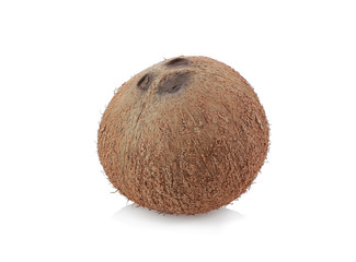 Old coconut isolated on a white background