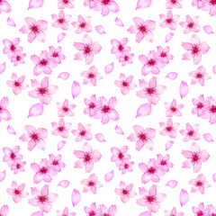 Watercolor pink cherry blossom sakura japan season flower isolated on white background for card wallpaper invitation