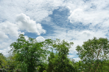 Obraz premium View of the clouds