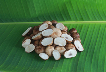 Astraeus hygrometricus on the banana leaf floor.Northern Thai food