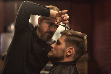 Side view of young bearded man in gown sitting in barbershop while barber cutting hair with...