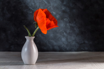 Image with poppy.