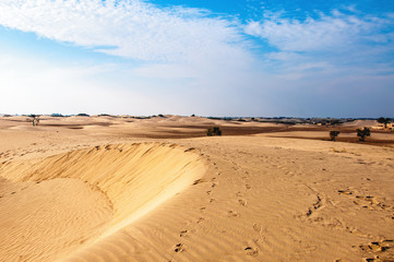 Fototapeta na wymiar Sand dunes in the Thar desert