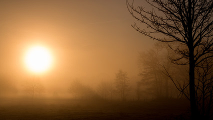 Ostfriesland am Morgen