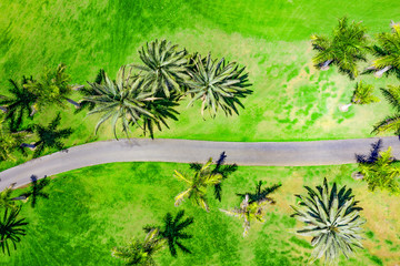 Summer road with palms and free space for your decoration. 