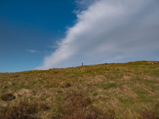Obraz na płótnie Canvas Walk over the infinite grasslands of Binevenagh in Northern Ireland - travel photography