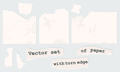 Vector paper with torn edge. Pieces of notes.