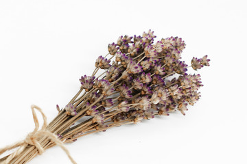 bouquet of dry lavender on a white background. space for text