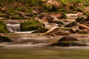 Blackforest Waterfall
