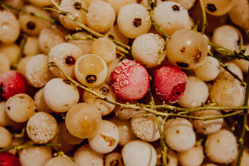 white currant berry