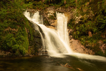 Blackforest Waterfall