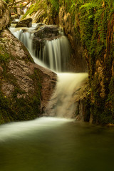 Blackforest Waterfall