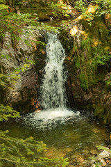 Blackforest Waterfall