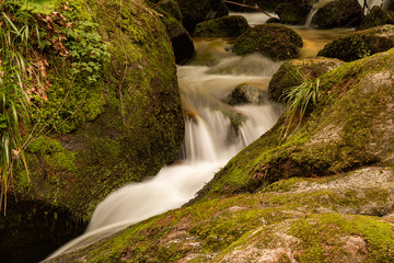 Blackforest Waterfall