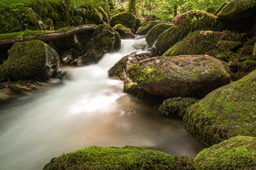 Blackforest Waterfall