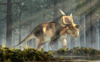 An Einiosaurus in a deep forest among ferns. Einiosaurus was a ceratopsian dinosaur, like the triceratops, from the Cretaceous period. 3D Rendering © Daniel Eskridge