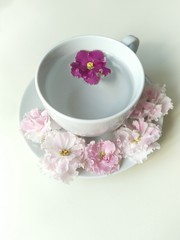 white tea Cup in the center of white background. clear water in a mug, two pink flowers float in the water. there are four violet flowers on the saucer. top view, flat layout.
