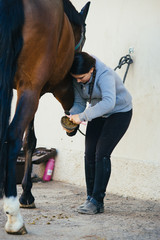 12-year-old girl takes care of her riding horse after class