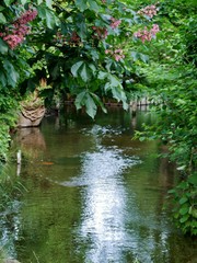 Naklejka premium Fluss durch Buckow