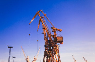 Mobile harbor cranes over blue sky. Transport and technology concept
