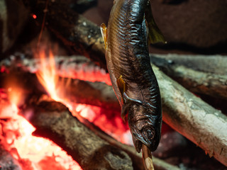 魚 丸焼き 焚き火 キャンプ