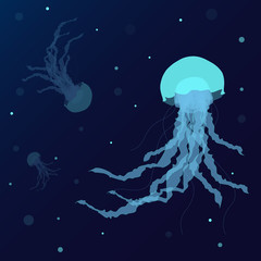 Jellyfish on blue background