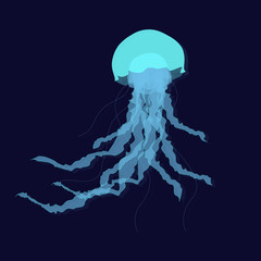 Hand drawn jellyfish on blue background. Vector illustration
