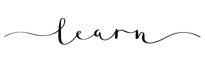 LEARN black vector brush calligraphy banner