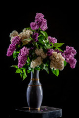 Lilac in vase on the black background