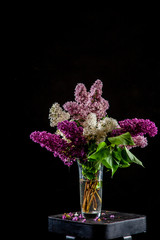 Lilac in vase on the black background