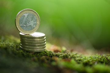 Euro Coins in Nature / Green Money