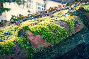 Brick of an old roof with green moss and old houses in the background