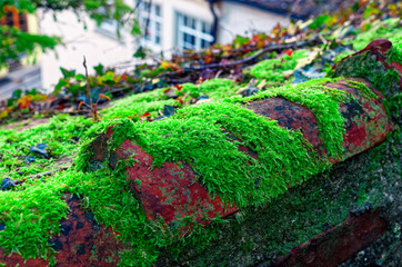 Brick of an old roof with green moss and old houses in the background