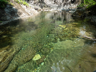 渓流 川 せせらぎ 上流