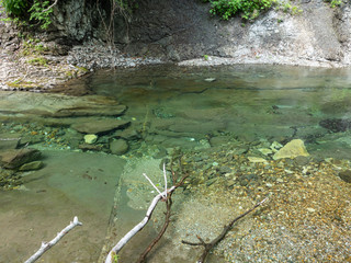 渓流 川 せせらぎ 上流