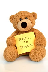 back to school bear