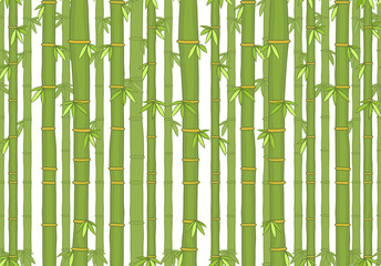 Seamless pattern with bamboo. isolated on white background