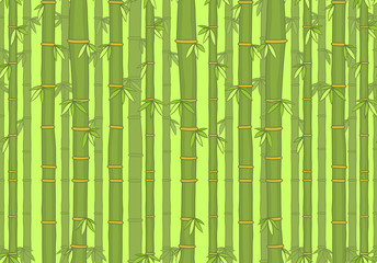 Seamless pattern with bamboo. isolated on green background