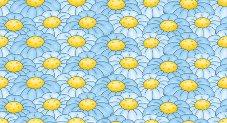 Seamless pattern with chamomile. isolated on white background