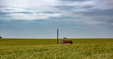 A Hut in a Field of Corn