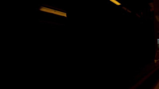Driving By Train From Paris To Versailles, France - graded version