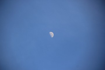 moon in the sky