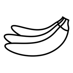 Fototapeta premium banana tropical fruits on white background
