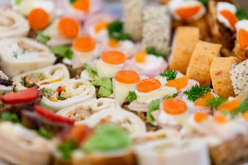 Delicious appetizer close-up