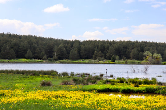 cankurtaran yaylası